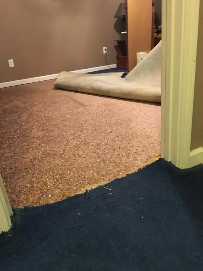 Carpet pad removal revealing water damage during Drying & Dehumidification in Raisinville