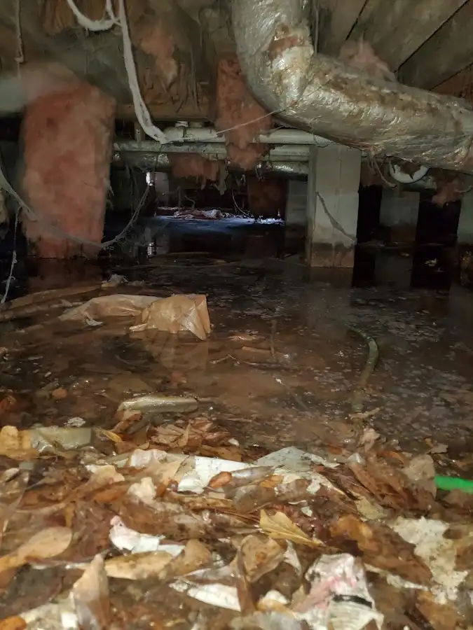 Crawl space flood assessment for Leak Detection & Repair in Raisinville