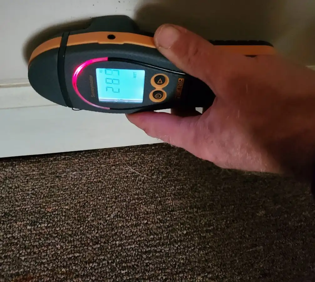 Moisture detection at baseboard during Sewage Cleanup & Sanitation in Raisinville
