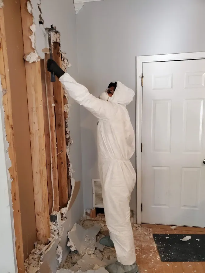 Water Damage Restoration services in Raisinville, MI